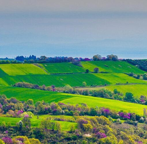 3 Hills Boutique - The Ranch Experience Hotel Trilofos Bagian luar foto