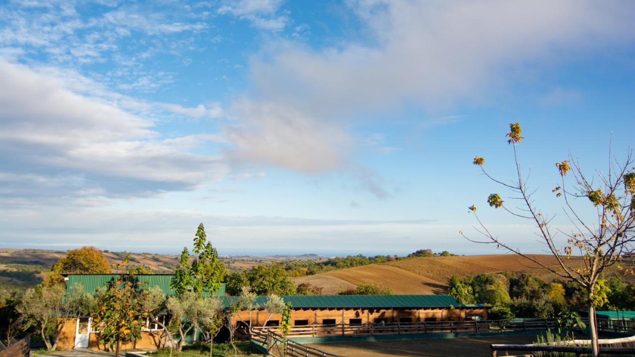 3 Hills Boutique - The Ranch Experience Hotel Trilofos Bagian luar foto