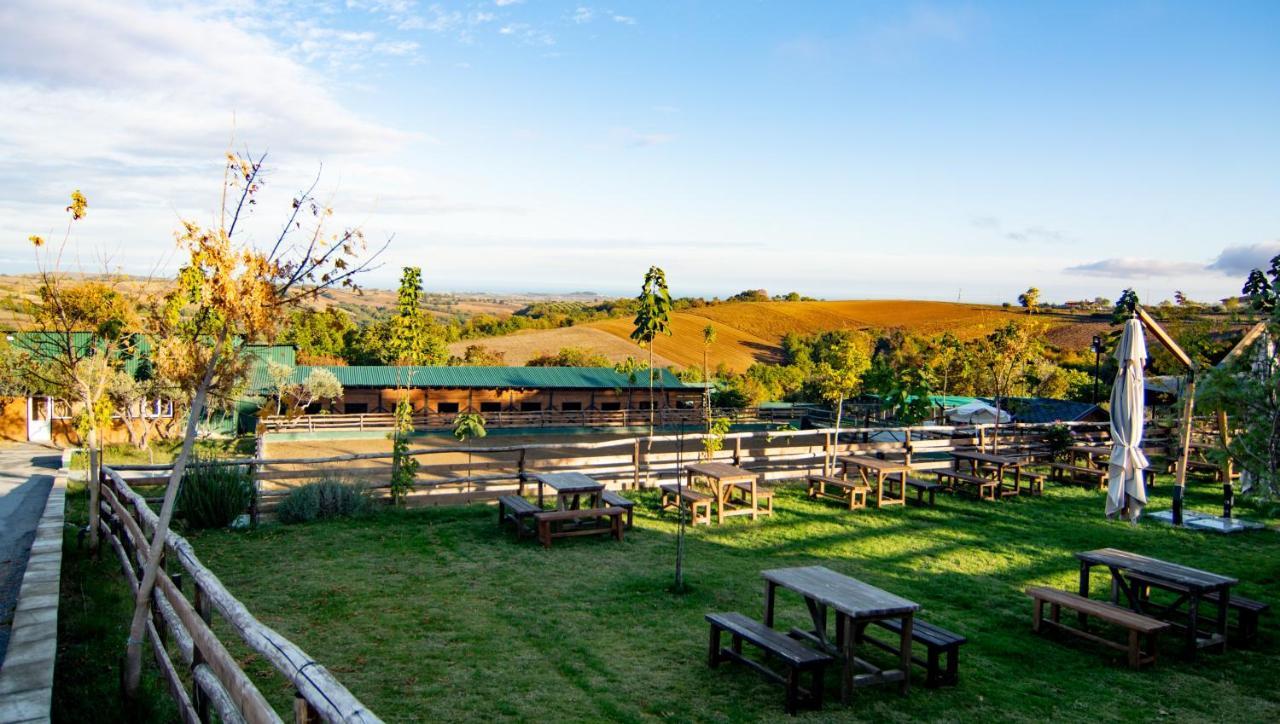 3 Hills Boutique - The Ranch Experience Hotel Trilofos Bagian luar foto