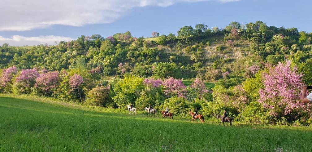 3 Hills Boutique - The Ranch Experience Hotel Trilofos Bagian luar foto
